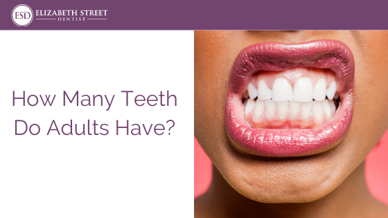 How many teeth do adults have